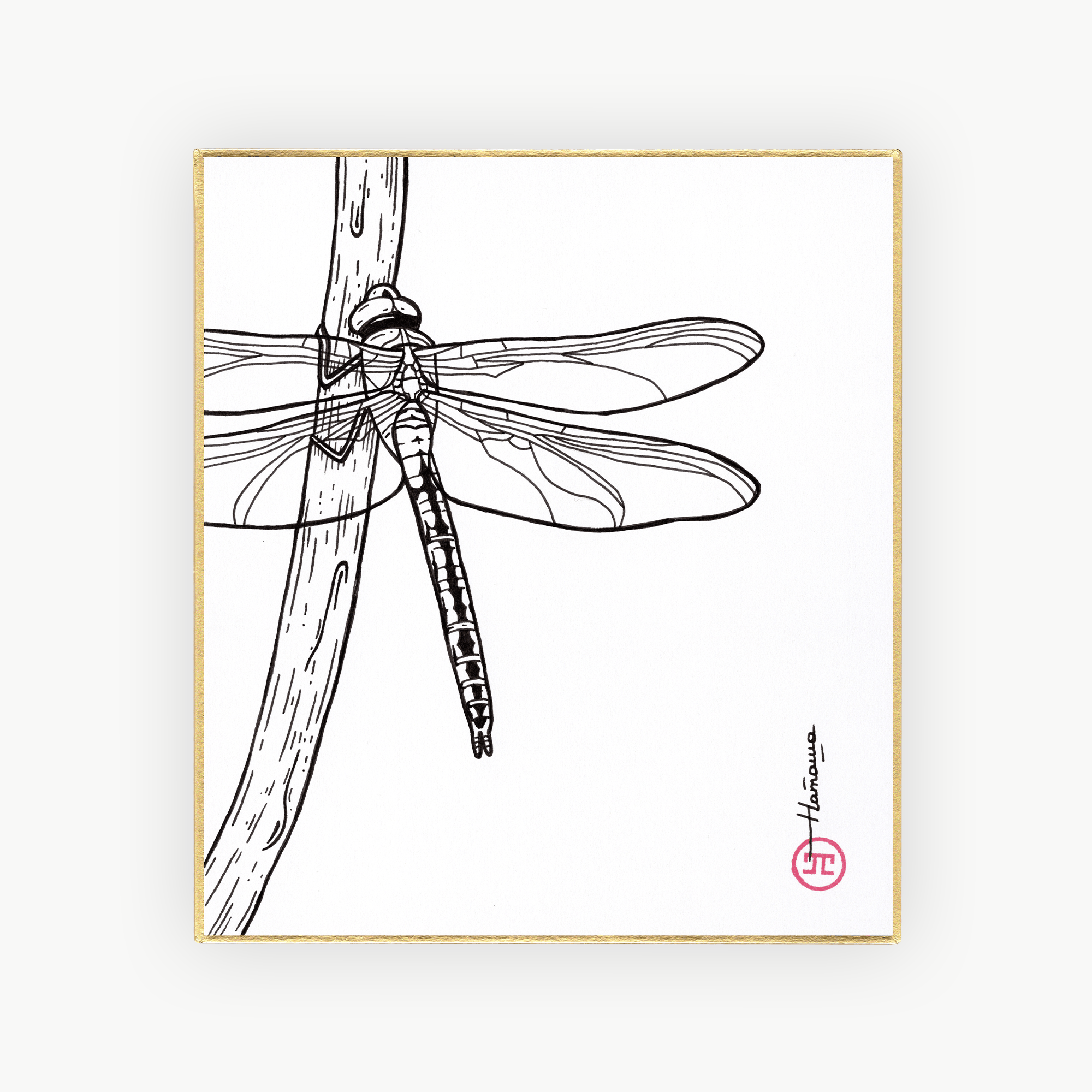 Shikishi Sunshōan Dragonfly by L'Œuvre au Noir