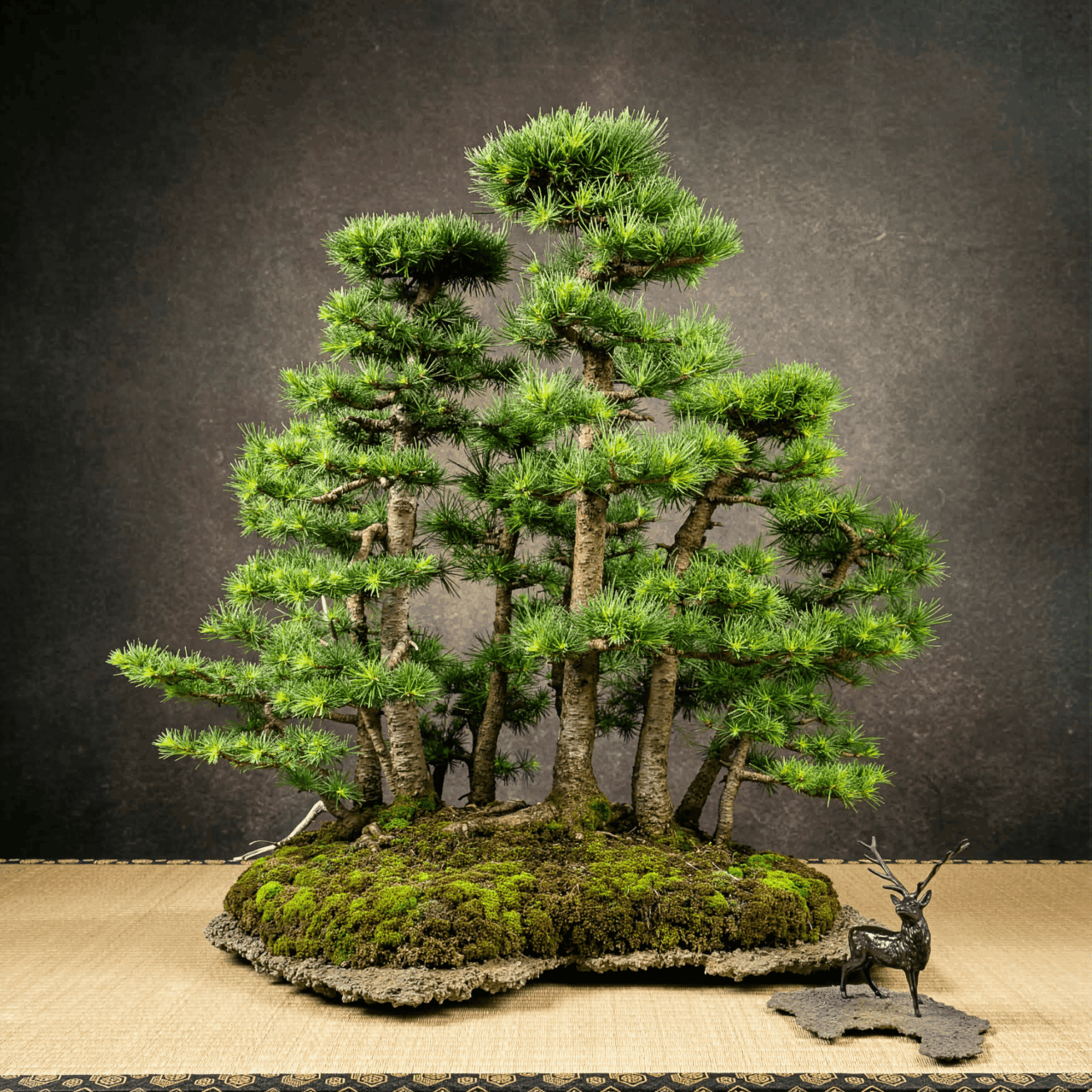 Larix forest